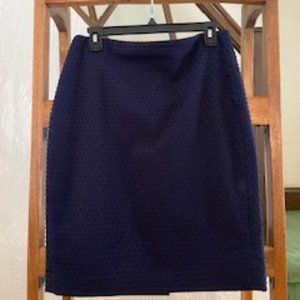 Banana Republic Skirt